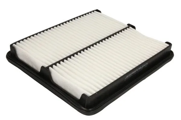 Air Filter (B20005PR)