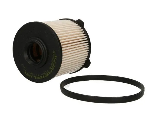 Fuel Filter (B3X009PR)