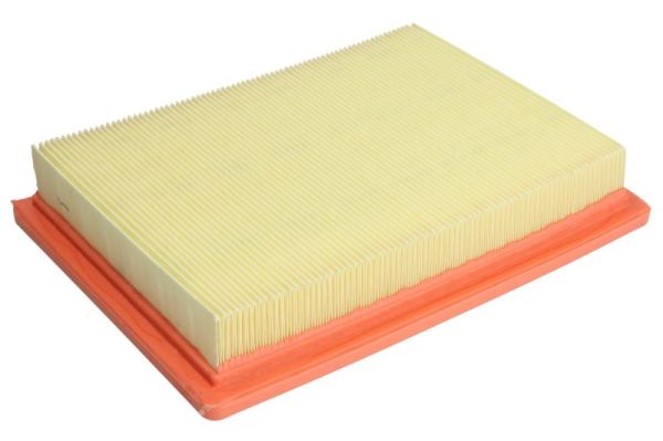 Air Filter (B2D013PR)