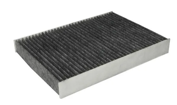 Filter, cabin air (B4V012CPR)