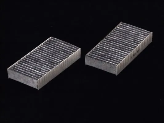 Filter, cabin air (B44002CPR)