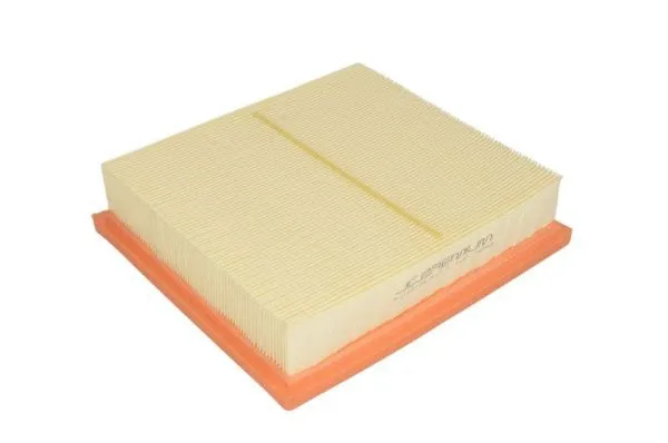 Air Filter (B2Y027PR)