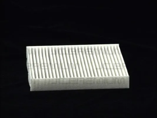 Filter, cabin air (B41011PR)