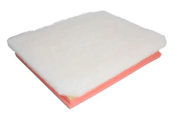 Air Filter (B2X057PR)