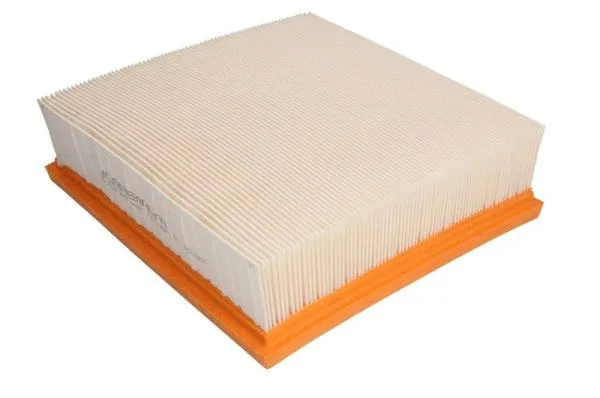 Air Filter (B2X061PR)
