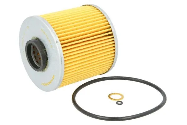 Oil Filter (B1B015PR)