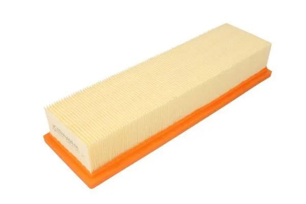 Air Filter (B2R067PR)