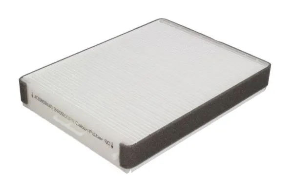 Filter, cabin air (B40500PR)