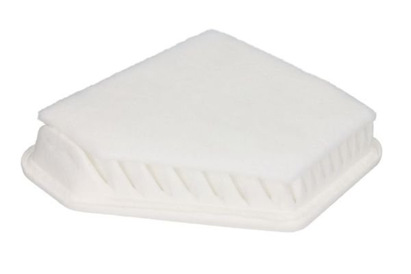 Air Filter (B22109PR)