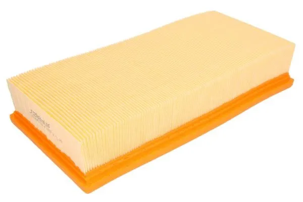 Air Filter (B2V008PR)