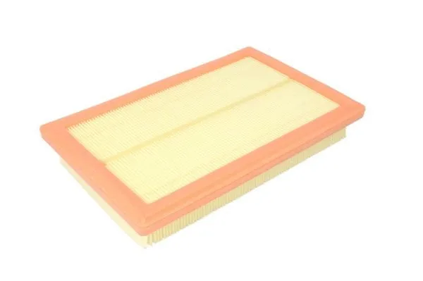 Air Filter (B2M081PR)