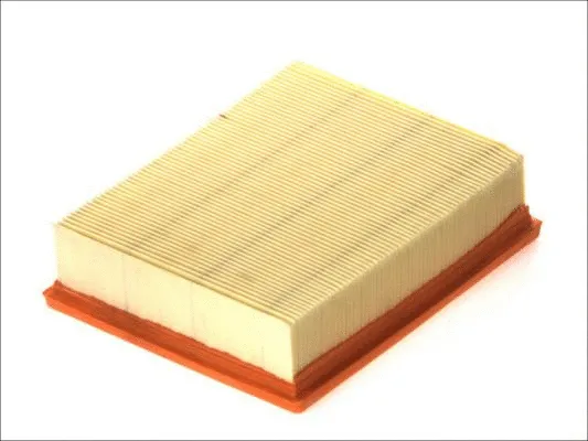 Air Filter (B20521PR)
