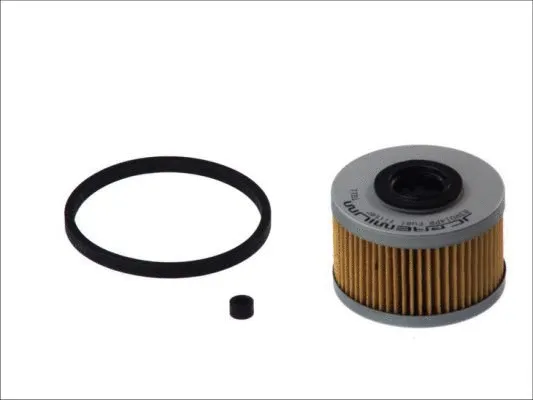 Fuel Filter (B3R014PR)