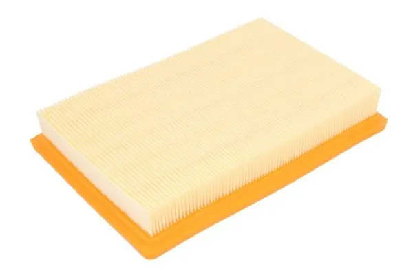 Air Filter (B20318PR)