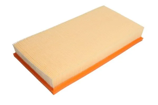 Air Filter (B2W025PR)
