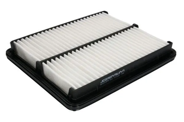 Air Filter (B20004PR)