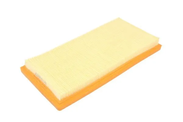 Air Filter (B2F080PR)