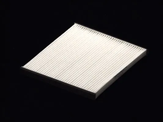 Filter, cabin air (B42002PR)