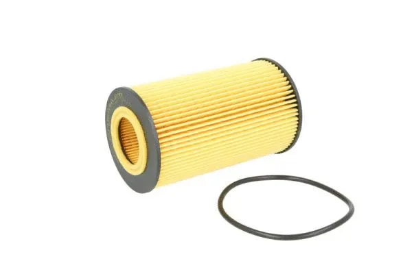 Oil Filter (B1M019PR)