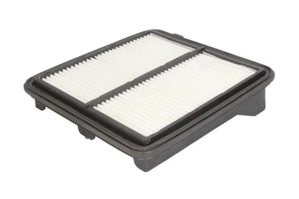 Air Filter (B24084PR)