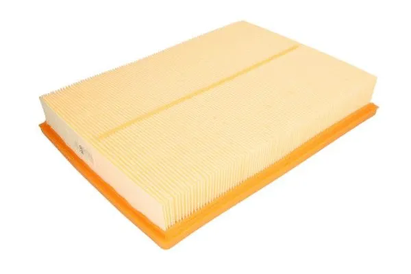 Air Filter (B2F081PR)