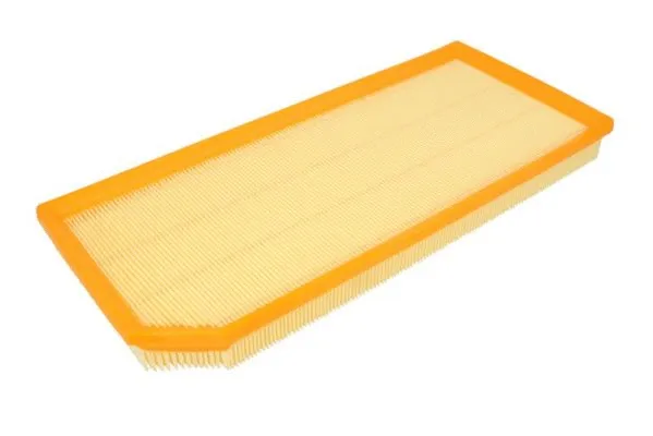 Air Filter (B2W072PR)