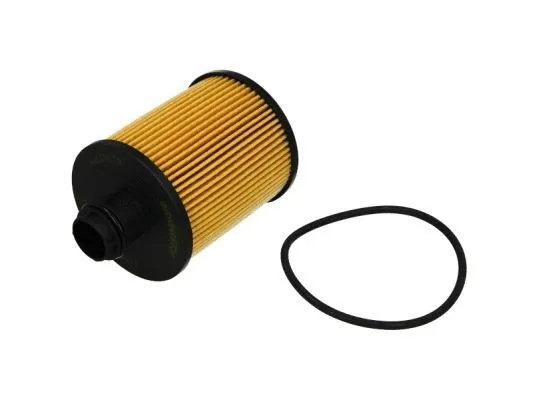 Oil Filter (B1X033PR)