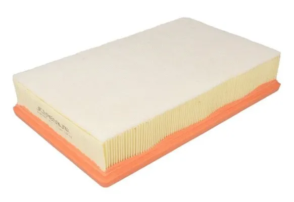 Air Filter (B2B038PR)