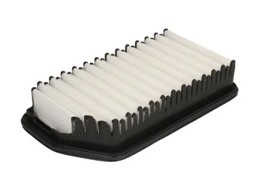 Air Filter (B20536PR)