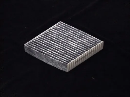 Filter, cabin air (B48003CPR)