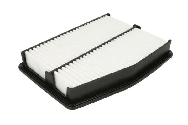 Air Filter (B20343PR)