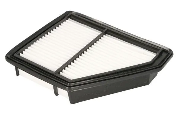 Air Filter (B24079PR)