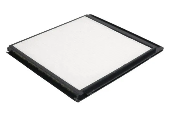Filter, cabin air (B41002PR)