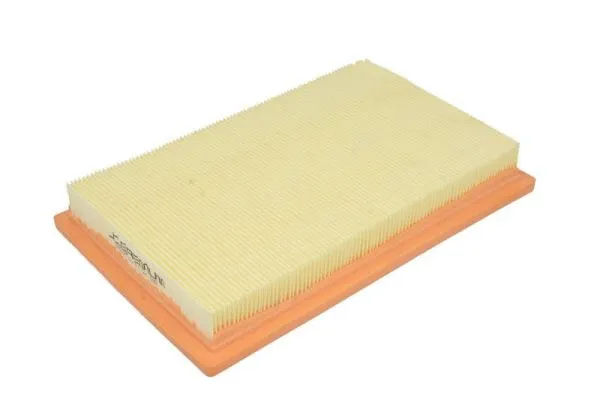 Air Filter (B2X016PR)