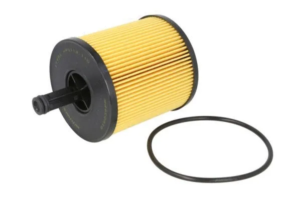 Conversion Kit, cartridge filter (B1W039PR)