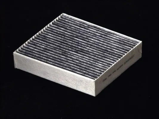 Filter, cabin air (B45007PR)