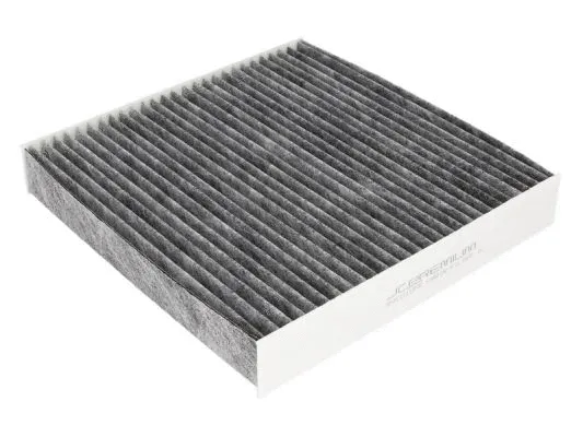Filter, cabin air (B4C015CPR)