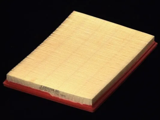 Air Filter (B2X014PR)