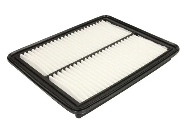Air Filter (B20331PR)