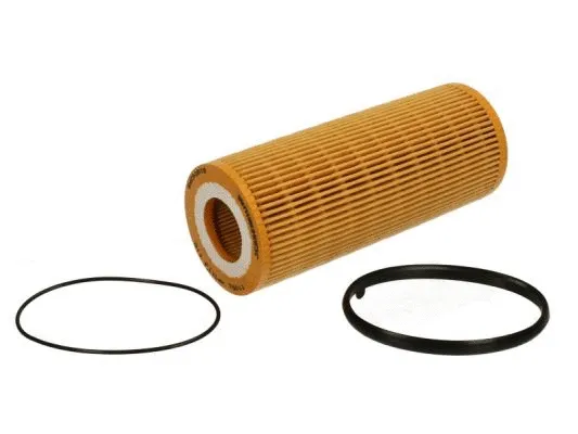 Oil Filter (B1W042PR)