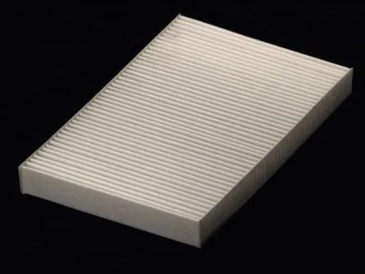 Air Filter (B4E003PR)