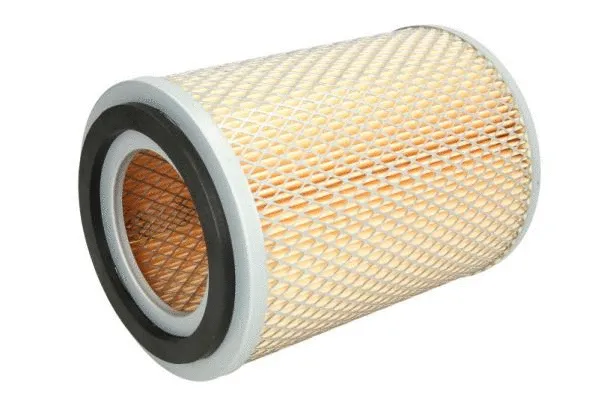 Air Filter (B21010PR)