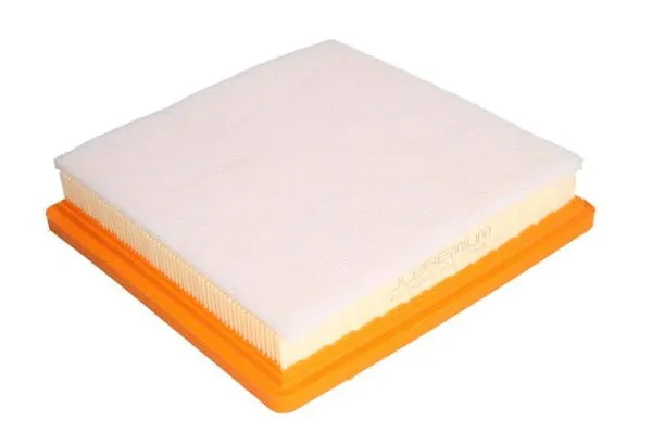 Air Filter (B2X068PR)