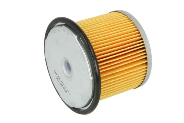 Fuel Filter (B3P012PR)