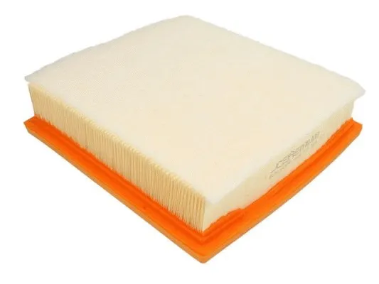 Air Filter (B2X060PR)
