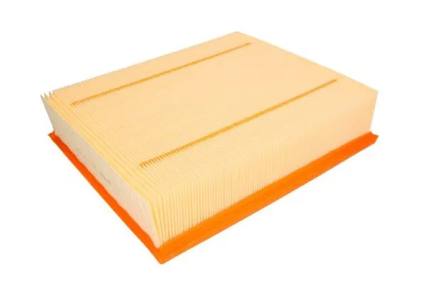 Air Filter (B2W016PR)