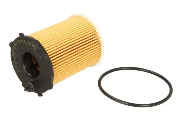 Oil Filter (B1F028PR)