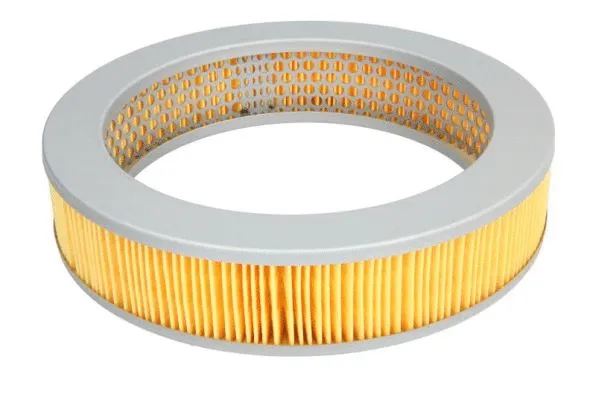 Air Filter (B21002PR)