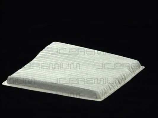Filter, cabin air (B42008PR)