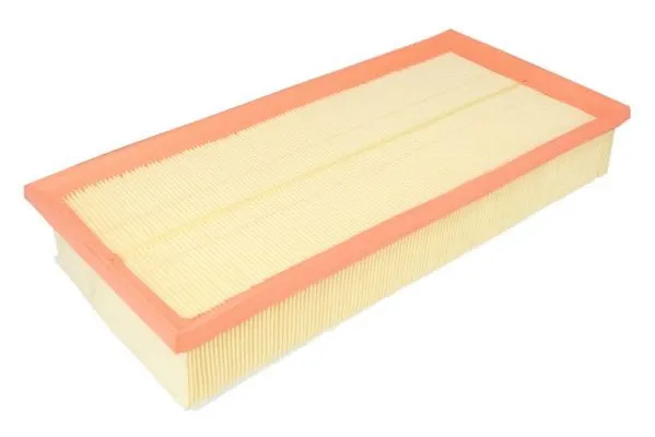 Air Filter (B2W069PR)
